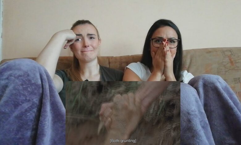 The Walking Dead 9x04 Reaction