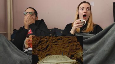 Breaking Bad 2x04 Reaction